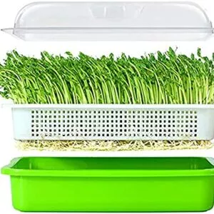 Hydroponic Fodder Soybean