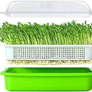 Hydroponic Fodder Soybean