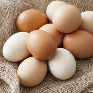 Chicken Egges